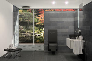 WC-Terminal TECElux in schwarz