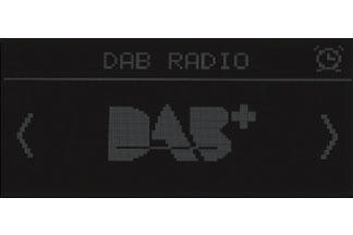 DAB+