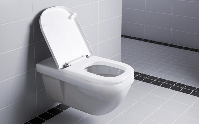 Geberit Renova Comfort